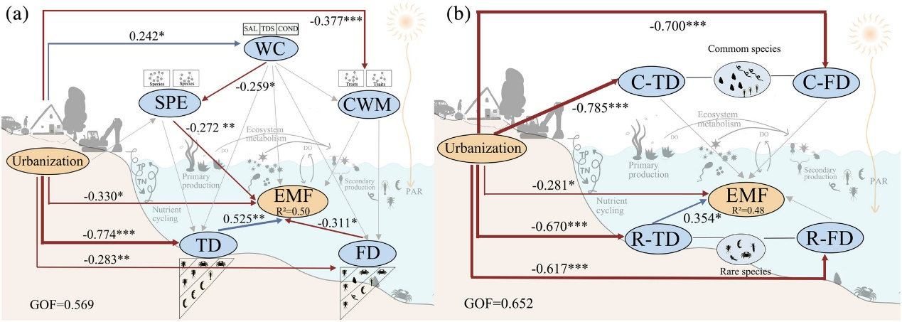 水生所揭示人為干擾如何加劇河流生態(tài)“隨機性”并導(dǎo)致“功能退化”